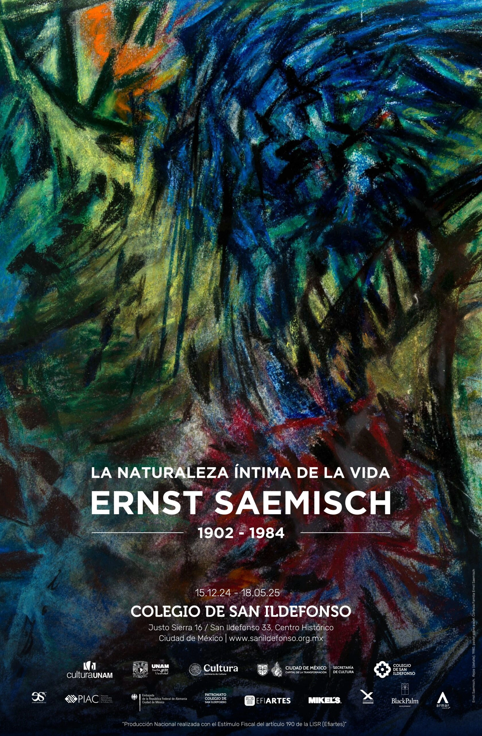 La naturaleza íntima de Ernst Saemisch 2024